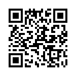 T38312-13-0 QRCode