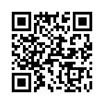 T38313-02-0 QRCode