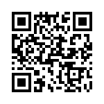 T38313-05-0 QRCode