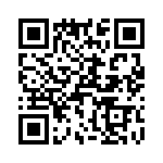 T38313-07-0 QRCode