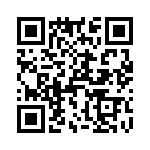 T38313-10-0 QRCode