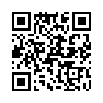 T38313-12-0 QRCode