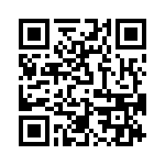 T38313-13-0 QRCode