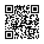 T38313-16-0 QRCode