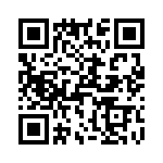 T38313-22-0 QRCode