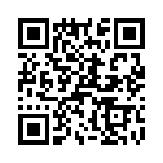T38317-04-0 QRCode
