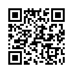 T38317-13-0 QRCode