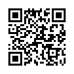 T38317-20-0 QRCode