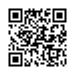 T38318-07-0 QRCode