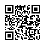 T38321-04-0 QRCode