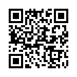 T38321-09-0 QRCode