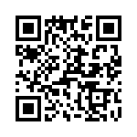 T38321-13-0 QRCode