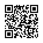 T38322-13-0 QRCode