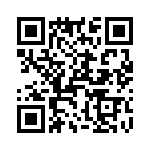 T38322-17-0 QRCode