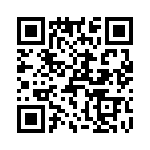 T38323-03-0 QRCode