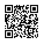 T38325-03-0 QRCode