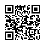 T38325-17-0 QRCode