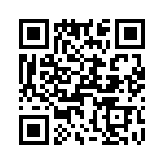 T38328-04-0 QRCode