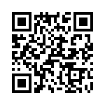 T38328-09-0 QRCode