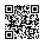 T38328-12-0 QRCode