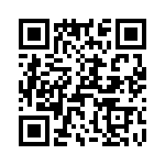 T38328-13-0 QRCode