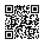 T38328-17-0 QRCode