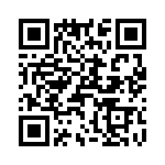 T38330-05-0 QRCode