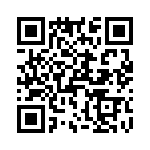 T38331-04-0 QRCode