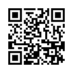 T38332-13-0 QRCode