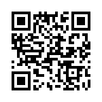 T38332-17-0 QRCode