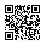 T38333-02-0 QRCode