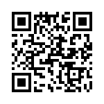 T38333-03-0 QRCode