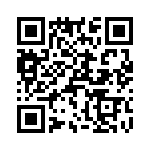 T38333-04-0 QRCode