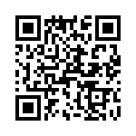 T38333-09-0 QRCode