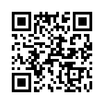 T38333-23-0 QRCode