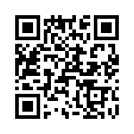 T38335-04-0 QRCode