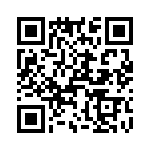 T38335-09-0 QRCode