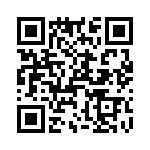 T38335-16-0 QRCode