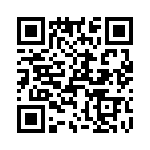 T38335-17-0 QRCode