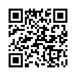 T38335-20-0 QRCode