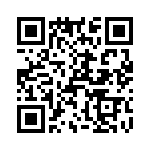 T38337-13-0 QRCode