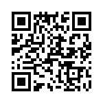 T38337-19-0 QRCode