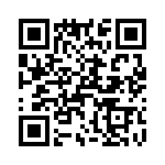 T38338-03-0 QRCode