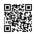 T38338-16-0 QRCode