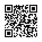 T38338-18-0 QRCode