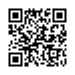 T38360-03-0 QRCode