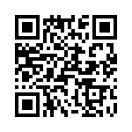 T38360-04-0 QRCode