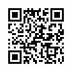 T38360-09-0 QRCode