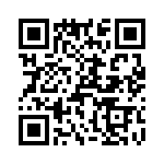T38361-12-0 QRCode