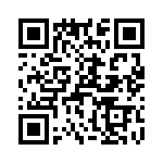 T38361-13-0 QRCode